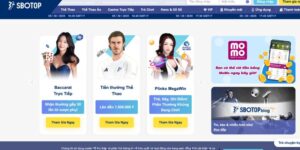 Tổng quan về Sbotop và vị thế trên thị trường cá cược