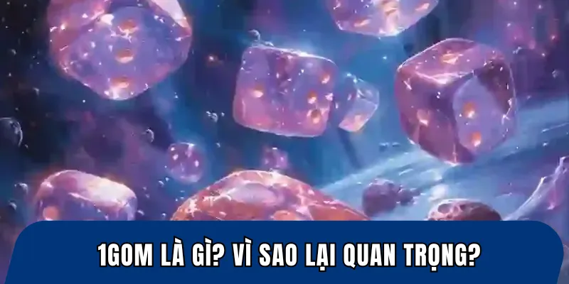 1Gom Là Gì? Vì Sao Lại Quan Trọng?